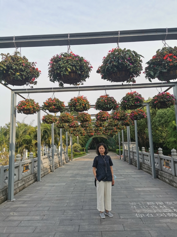 一叶知秋的第二张照片--柘荣婚介网